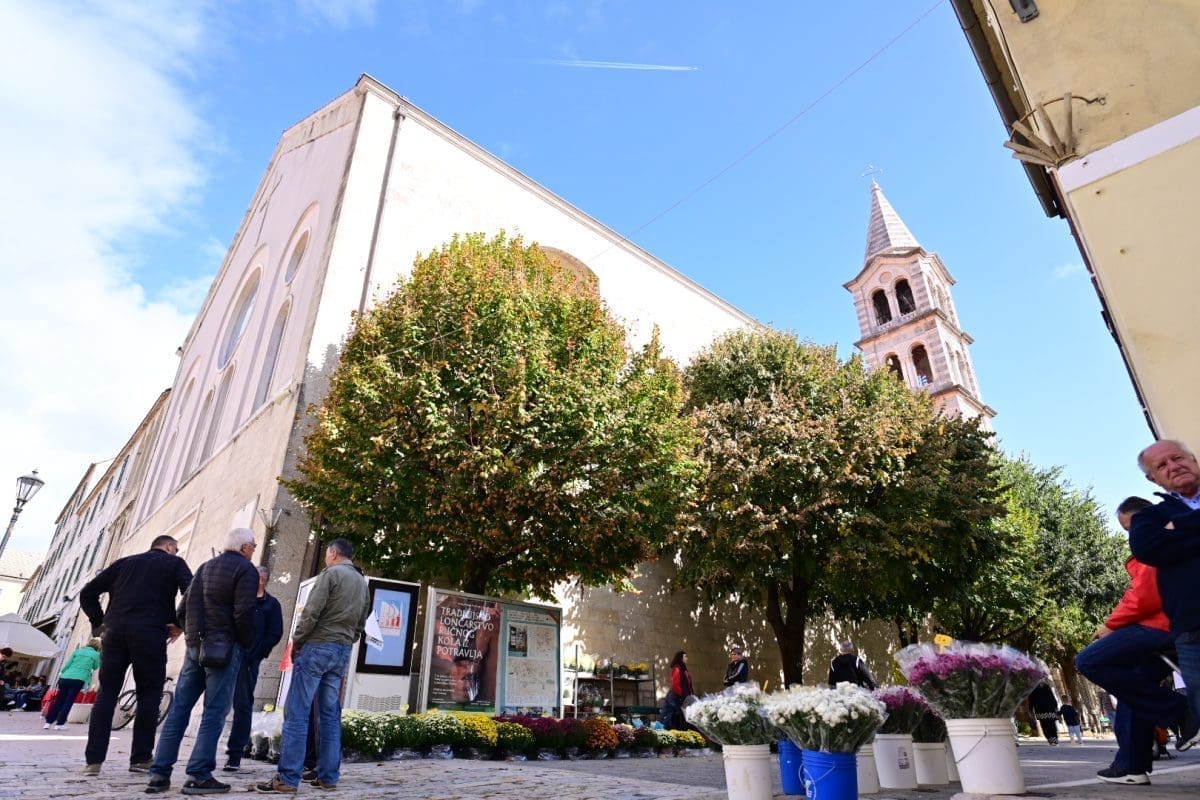 sinj svi sveti cvijece 54