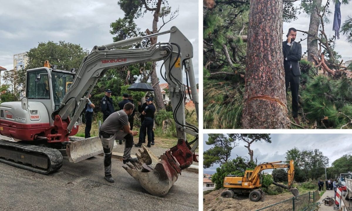 ZAHUKTAVA SE NA SPLITSKIM GRIPAMA Ivošević:" Grad se trudi, a policija ne želi ukloniti ljude... Kako sada stvari stoje, stablo će pasti po meni i ljudima koji ispod žive"