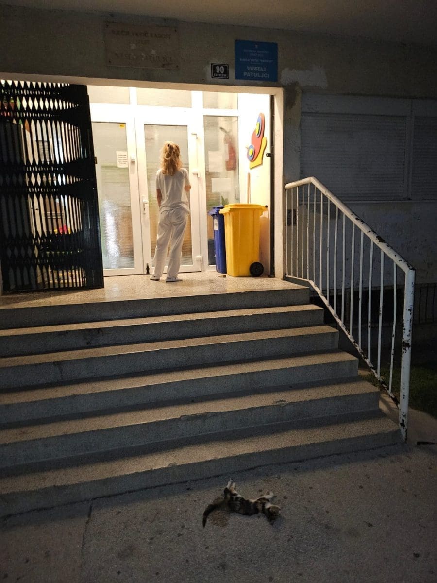 uginula macka neslanovac vrtic 5 