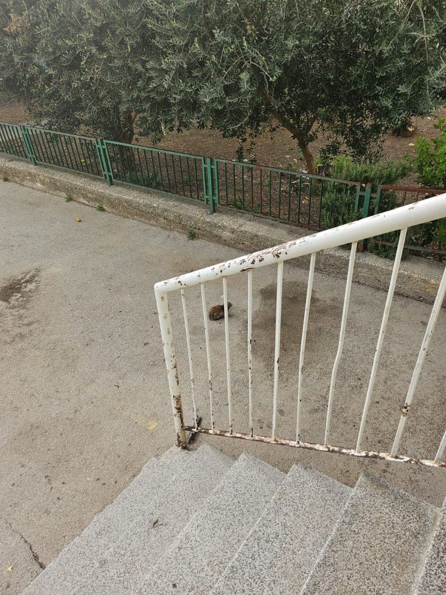 uginula macka neslanovac vrtic 6 