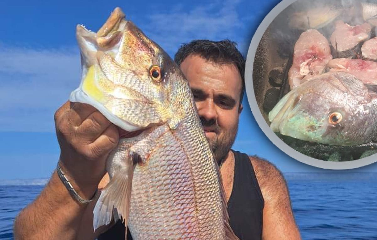 ULOV ZA PAMĆENJE Ribari bacili udicu u uvali u Veloj Luci: "Zagrizao je zubatac od 6,6 kilograma!"