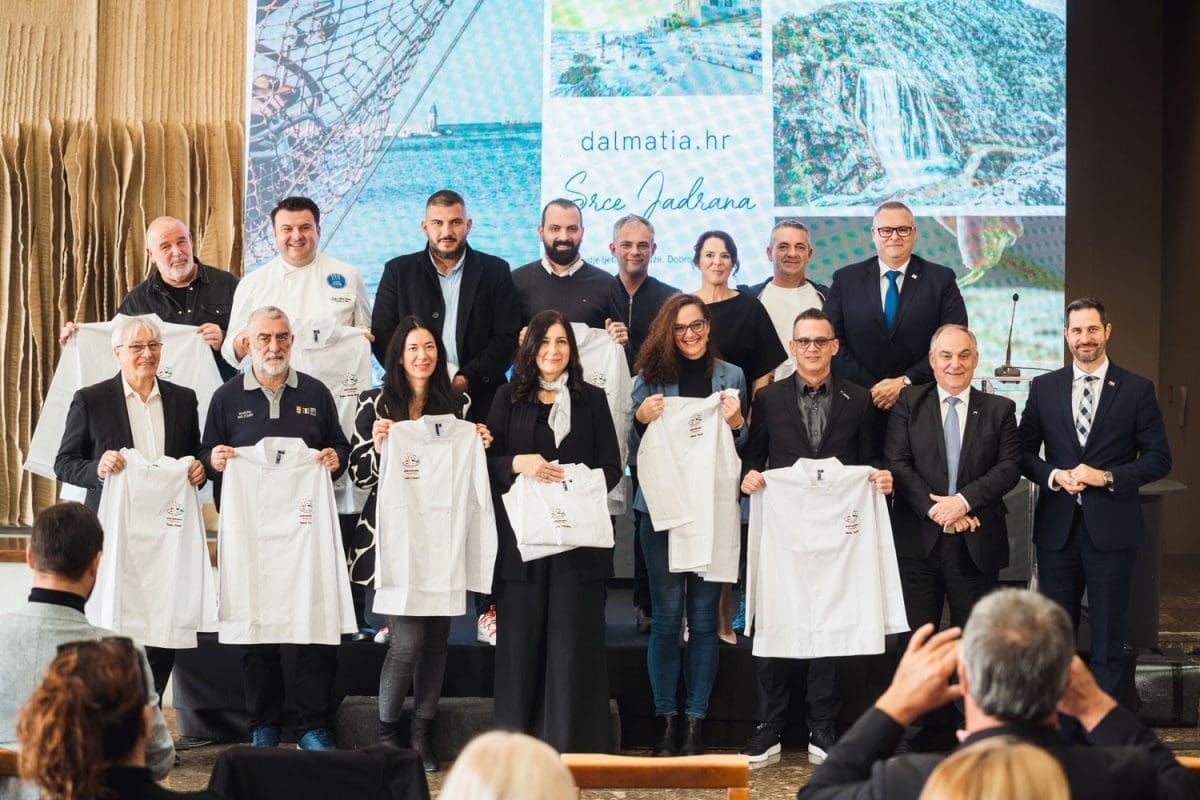 11 29 sdz tz predstavljanje novi web 30