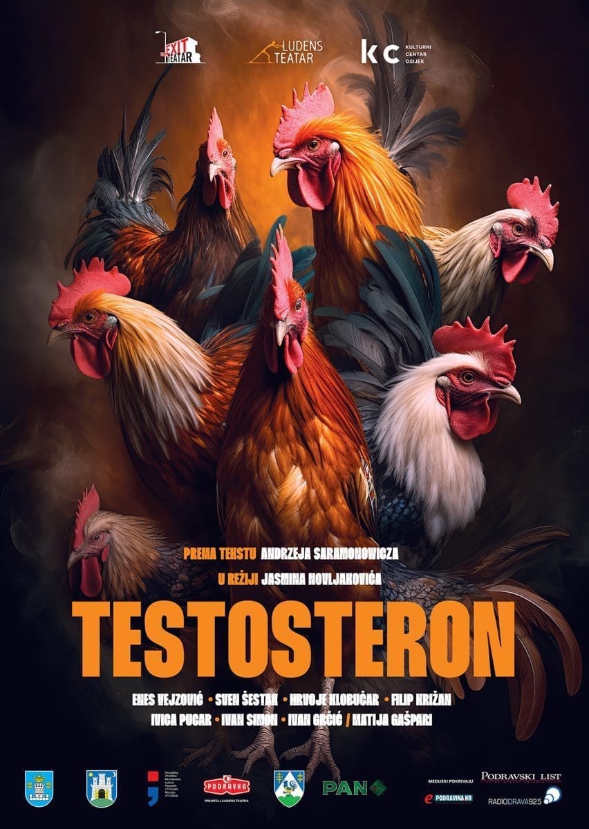 B2 pijetlovi 2 naslov small