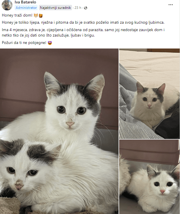 Snimka zaslona 2023 11 22 111233