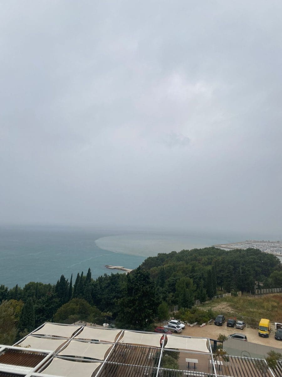 WhatsApp Image 2023 11 21 at 11 24 34 1 