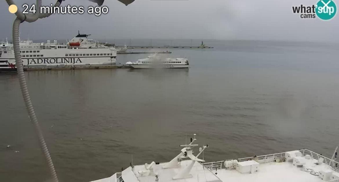 WhatsApp Image 2023 11 21 at 11 24 34