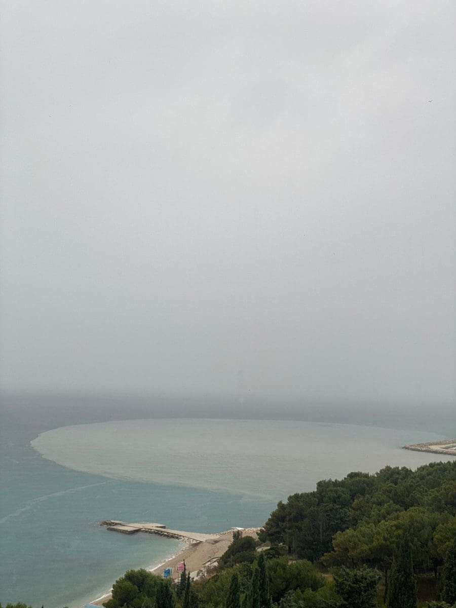 WhatsApp Image 2023 11 21 at 12 04 00