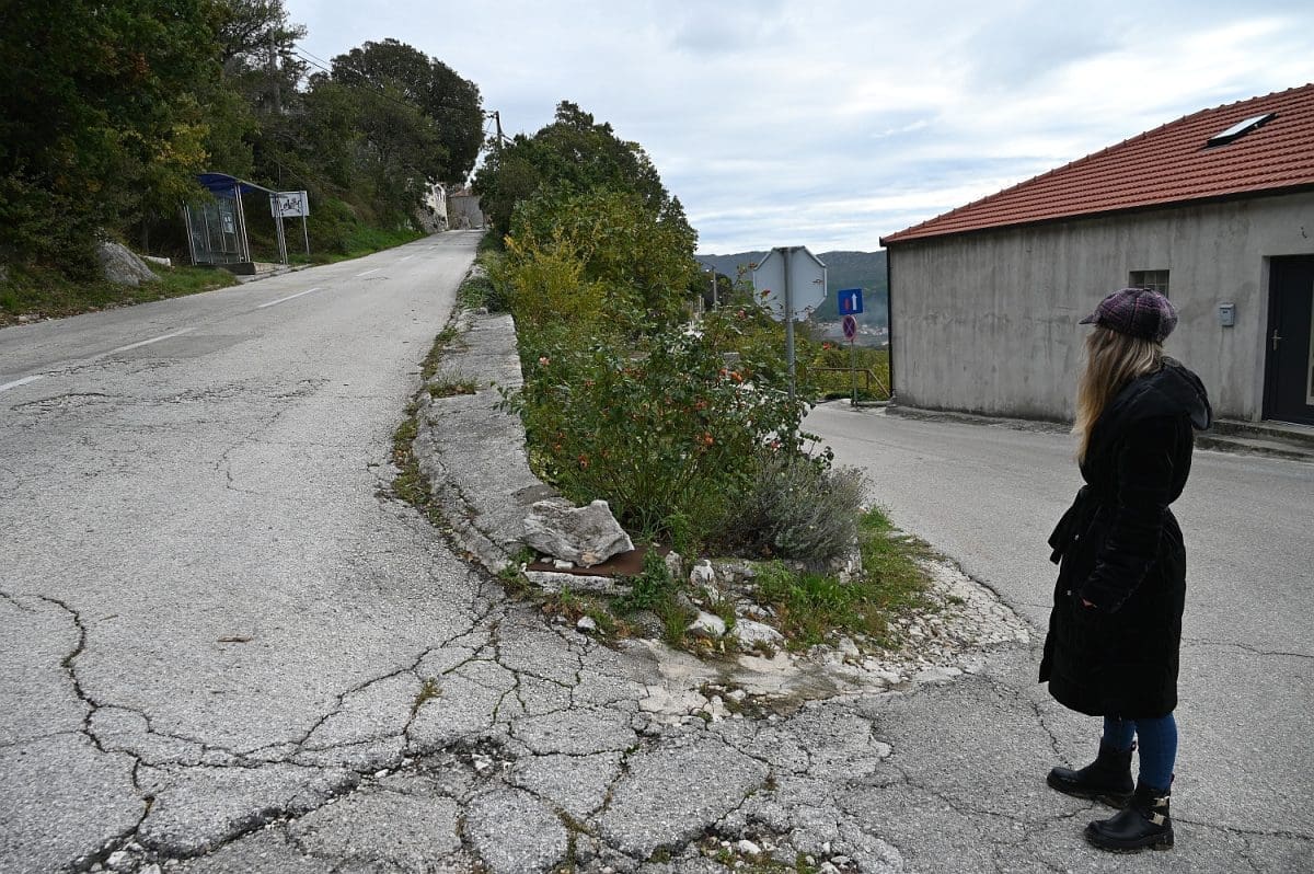 cesta srinjine sitno 5 