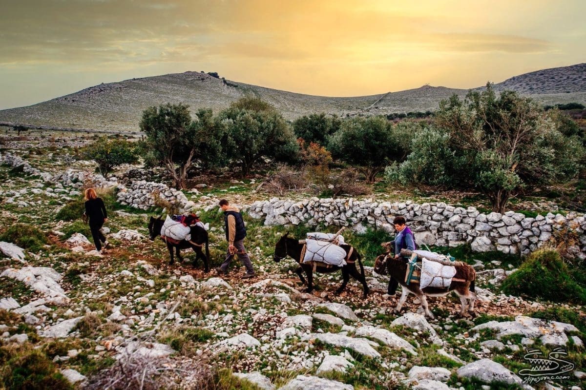 Jeste li znali da Mediteran ima svoj dan? Ovaj dio Zemlje je sve ugroženiji. Možda je ovo prilika da više pazimo na mjesto na kojem živimo