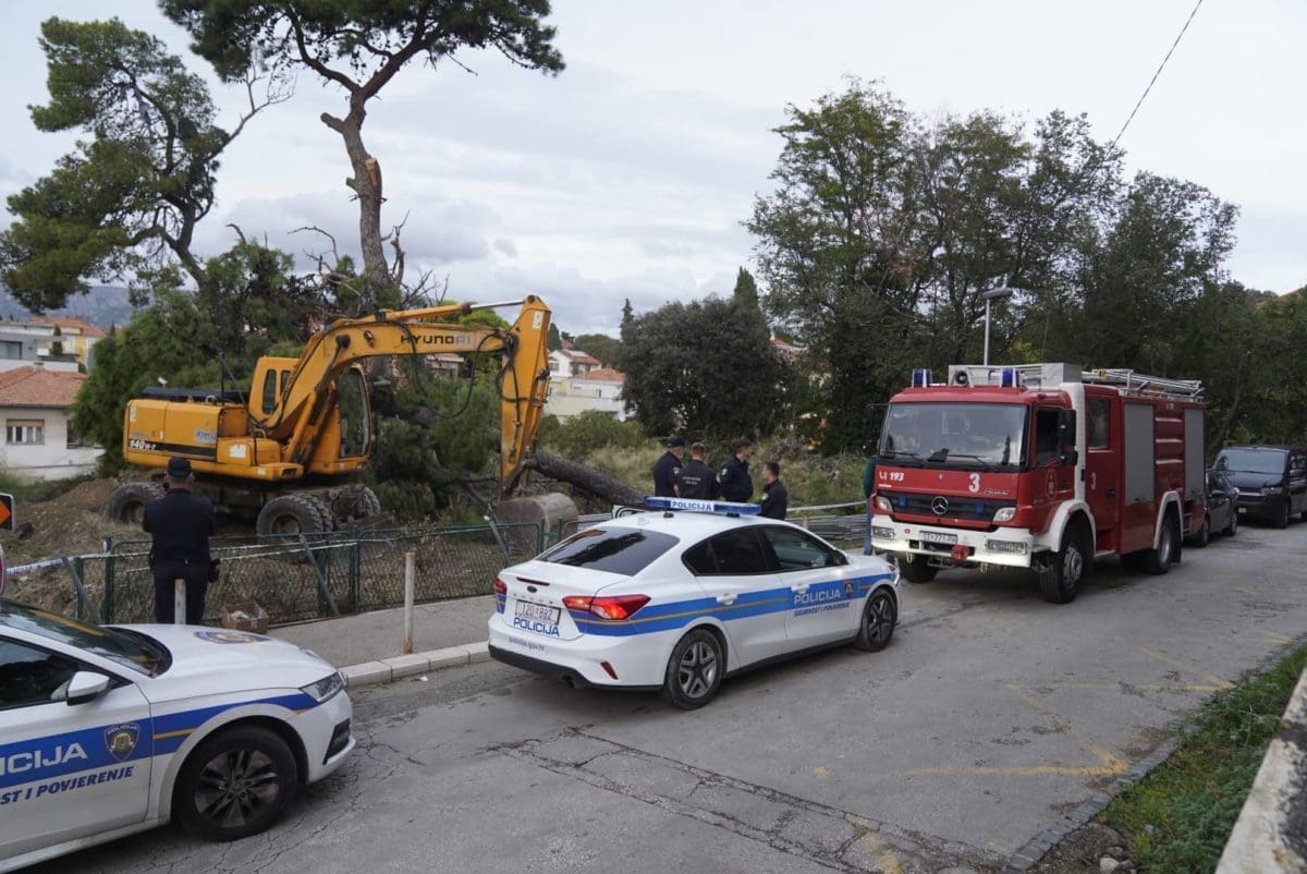 glagoljaska stablo policija vatrogasci 3 