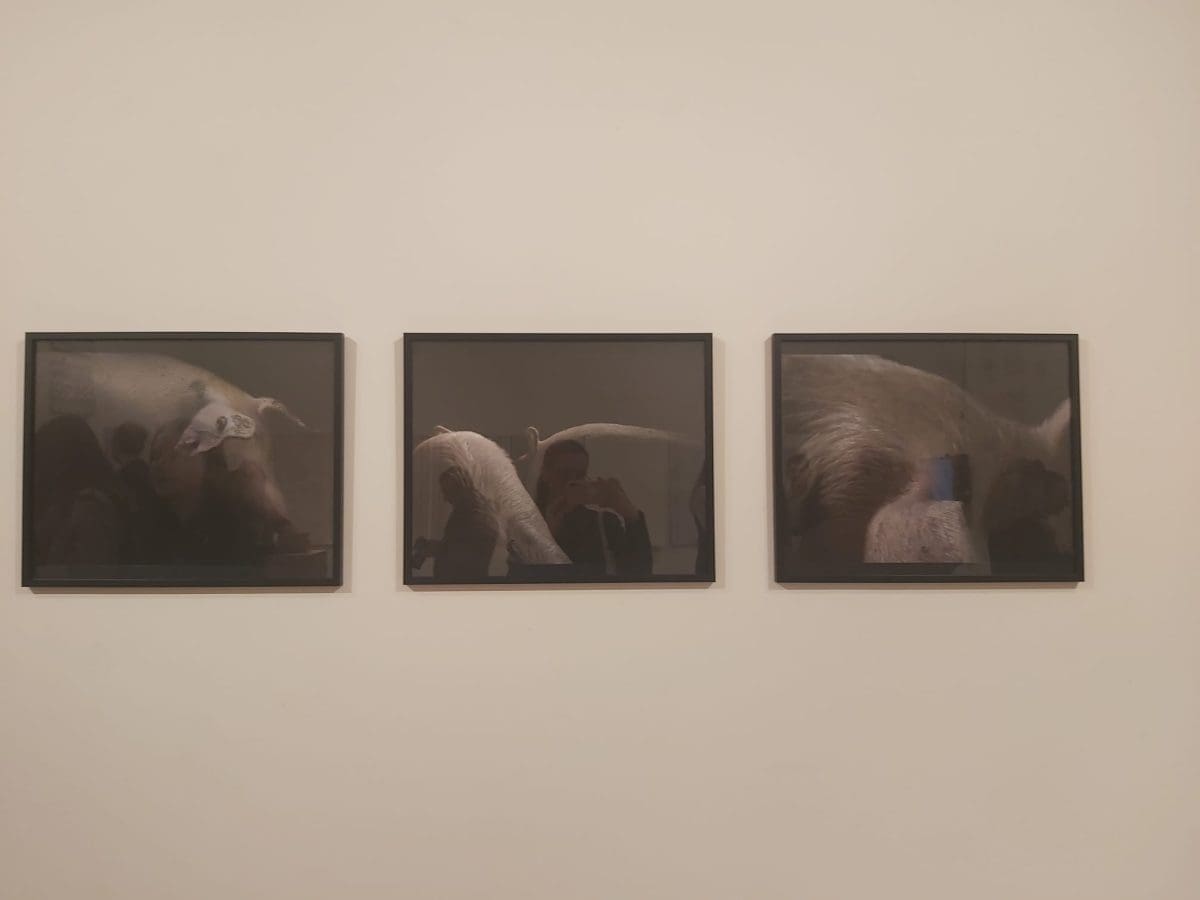 izlozba a4 otvorenje 1 