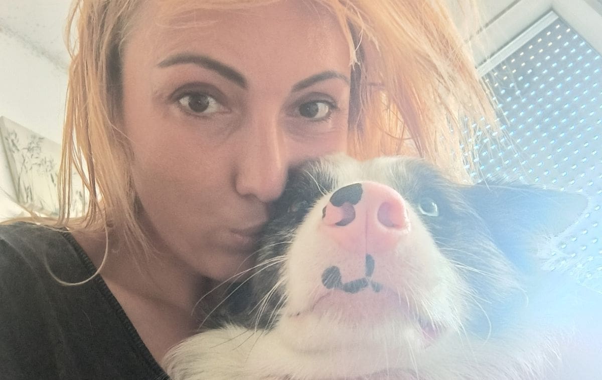 BRUTALNI ZLOČIN NAD PSIMA Muškarac okrutno ubio dvije životinje u šetnji