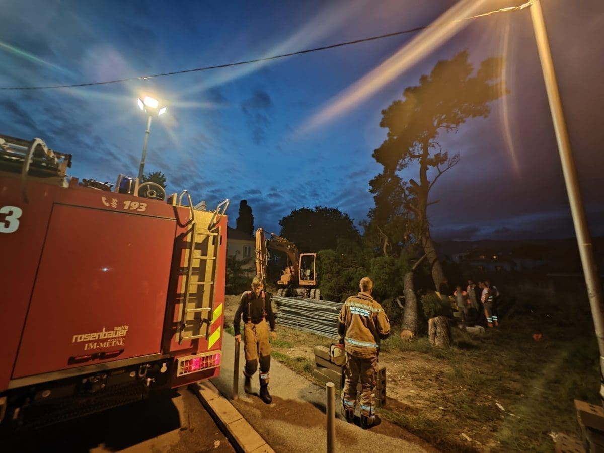 parkovi gripe glagoljaska