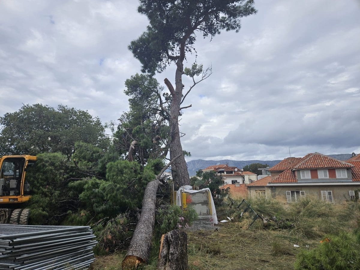 stablo gripe beton 1