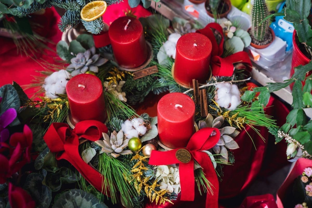 Zimska čarolija u Strelitziji: Radionica vijenaca koja pretvara dom u najljepšu blagdansku priču