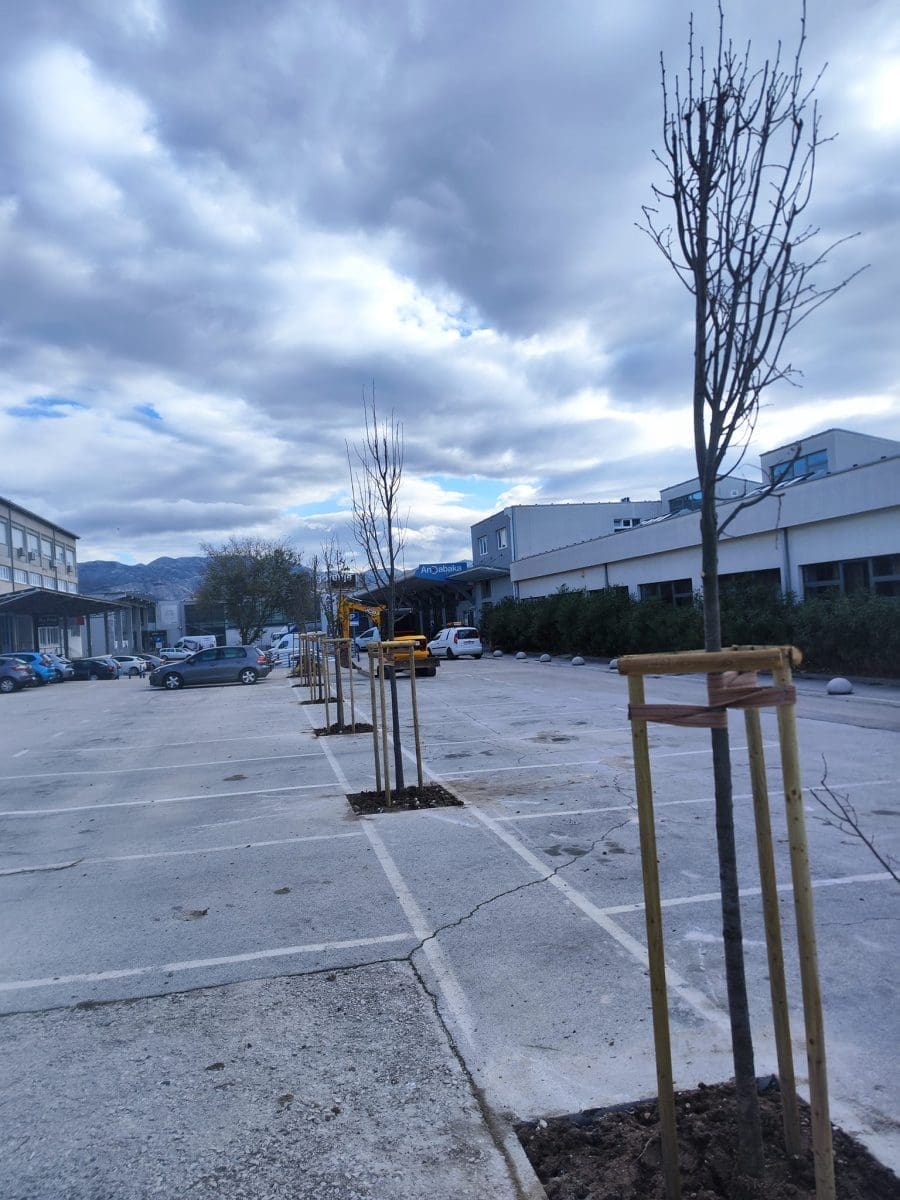 sveuciliste velelisne lipe 5