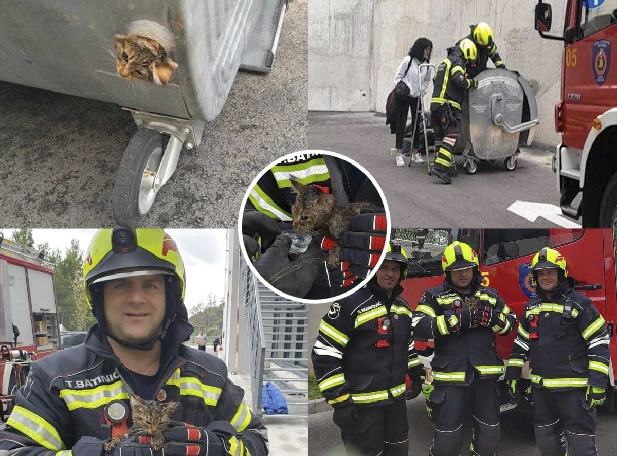 (FOTOGALERIJA) PRIZORI KOJI ĆE VAS RASTOPITI Vatrogasci spasili mačića koji je zaglavio u kontejneru