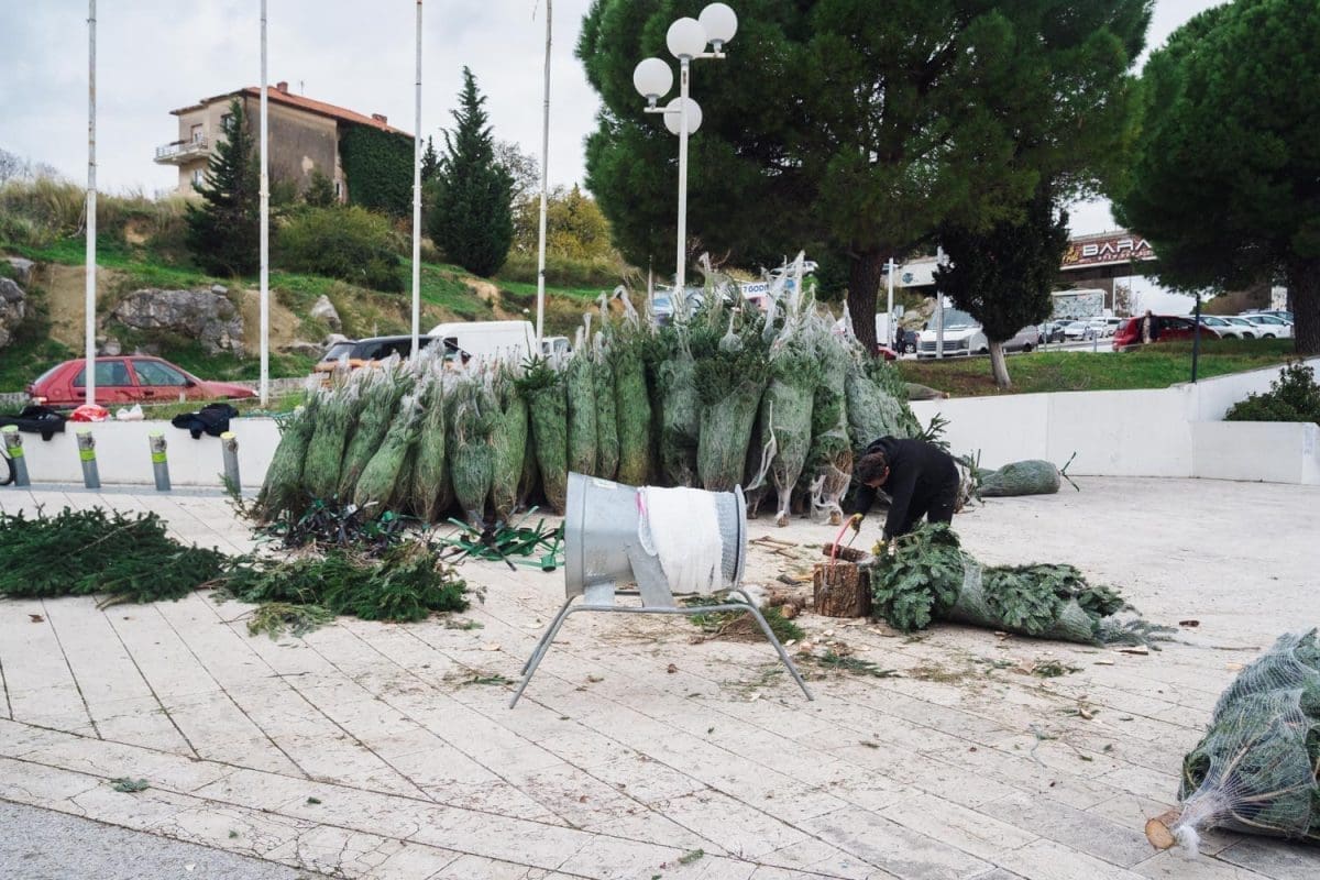 12 11 jelke prodaja koteks poljud 13