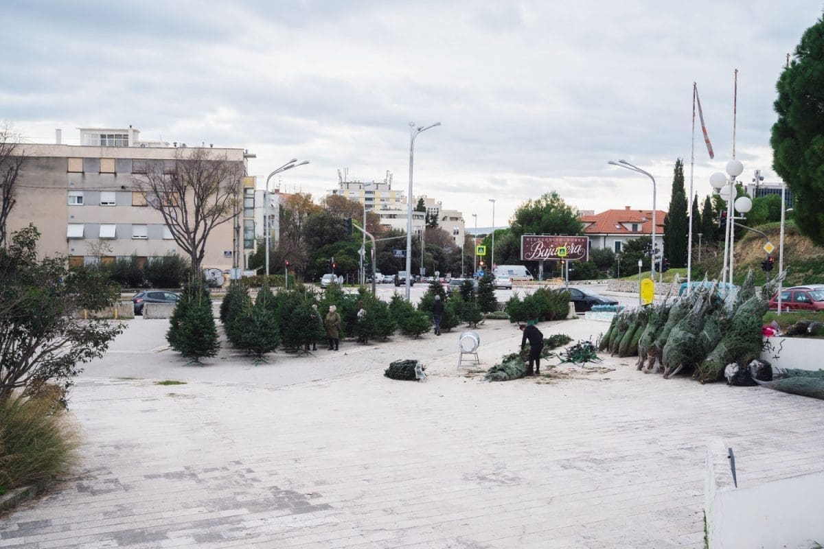 12 11 jelke prodaja koteks poljud 14