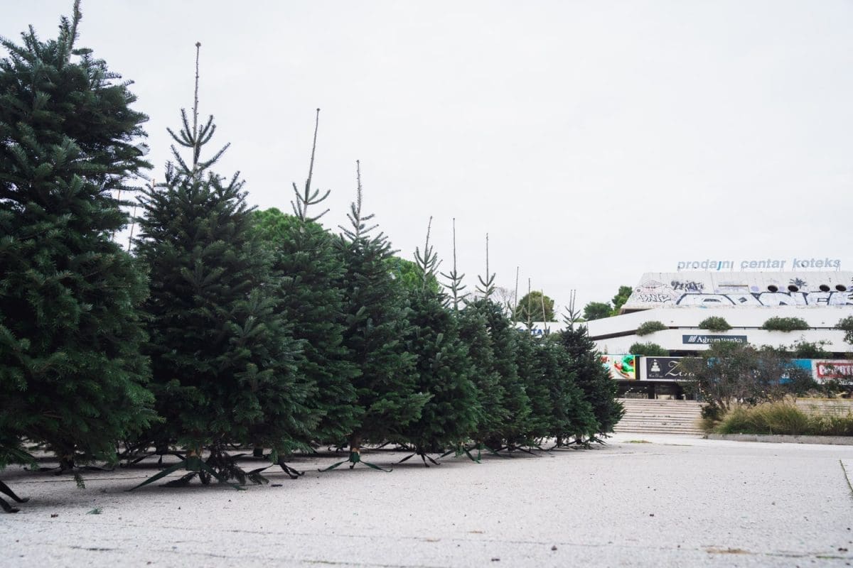 12 11 jelke prodaja koteks poljud 15