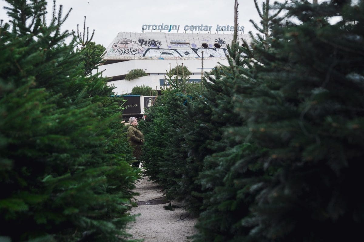 12 11 jelke prodaja koteks poljud 16