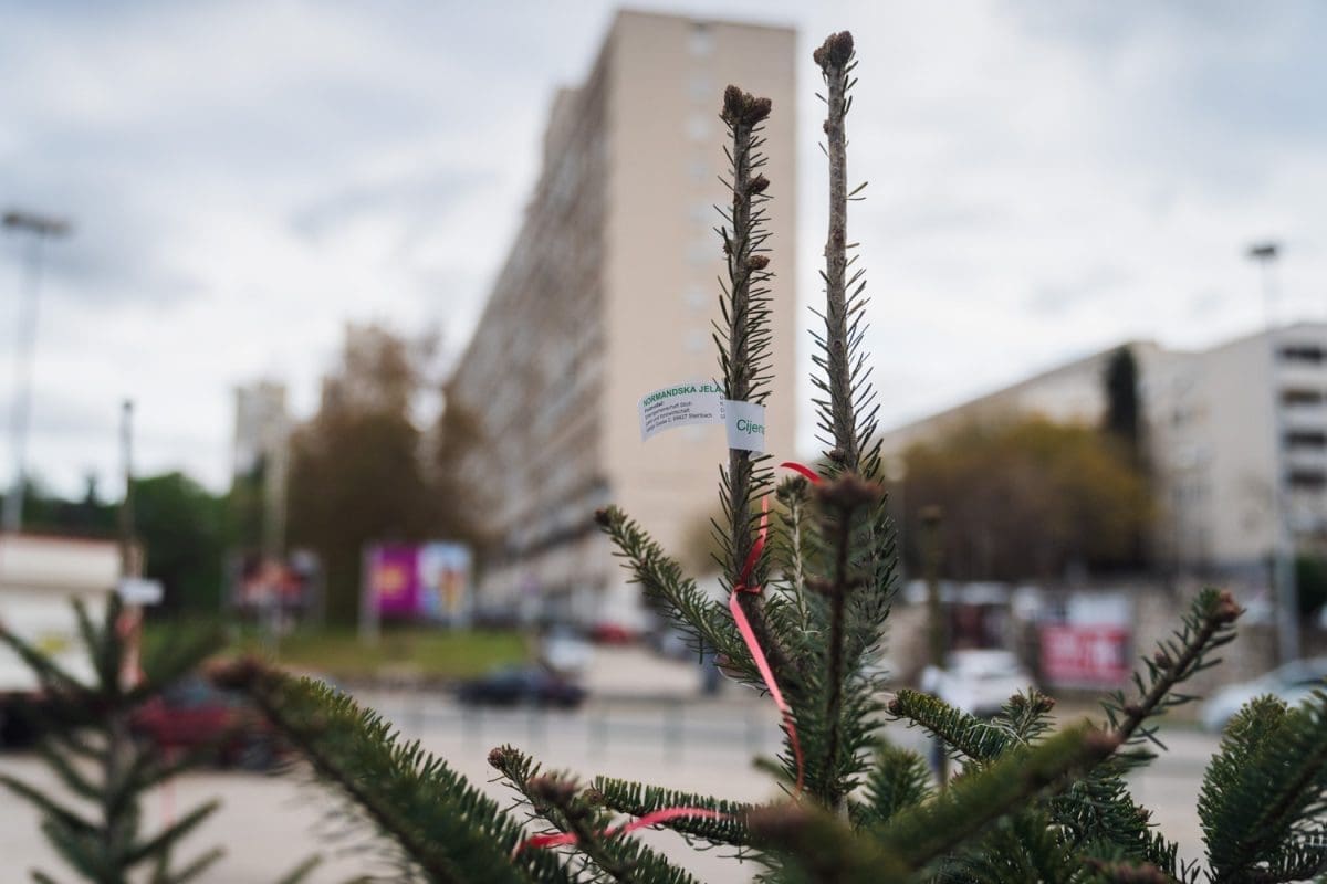 12 11 jelke prodaja koteks poljud 3