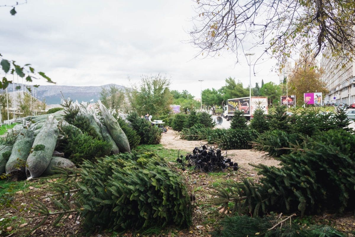 12 11 jelke prodaja koteks poljud 4