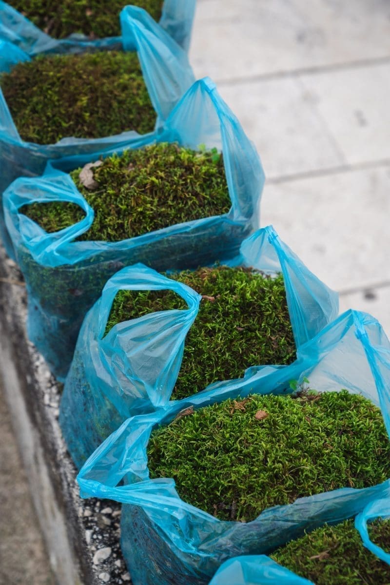 12 11 jelke prodaja koteks poljud 9