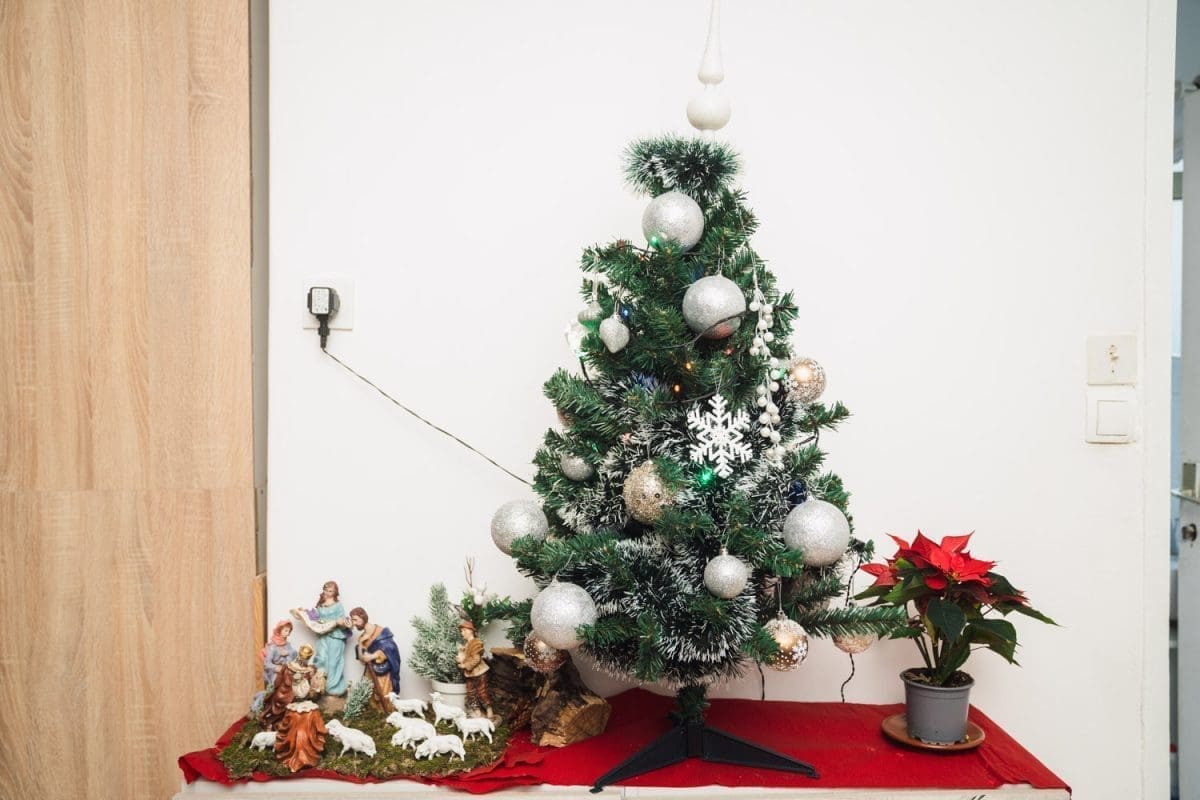 12 15 sivi dom marija tesija 6