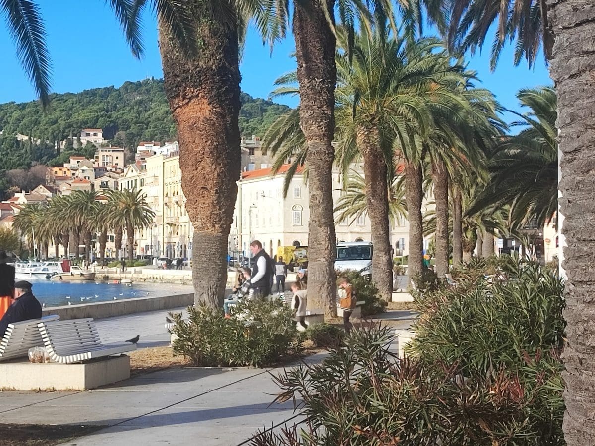 NEMA ODMORA NI NA BOŽIĆ Radnici 'Čistoće' i 'Parkova i nasada' udružili snage: Pogledajte kako izgleda Riva