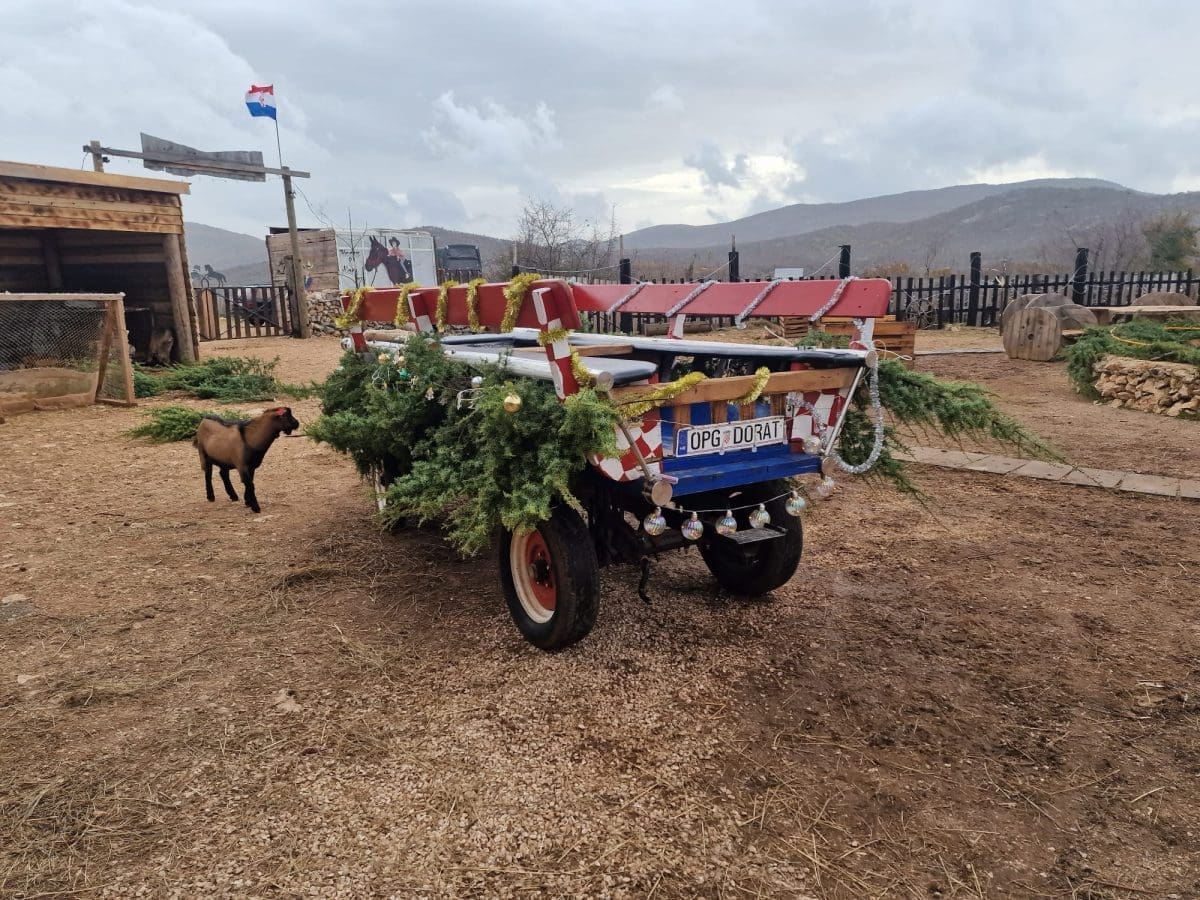 Selo Djeda Bozicnjaka Bozicni autobus 5