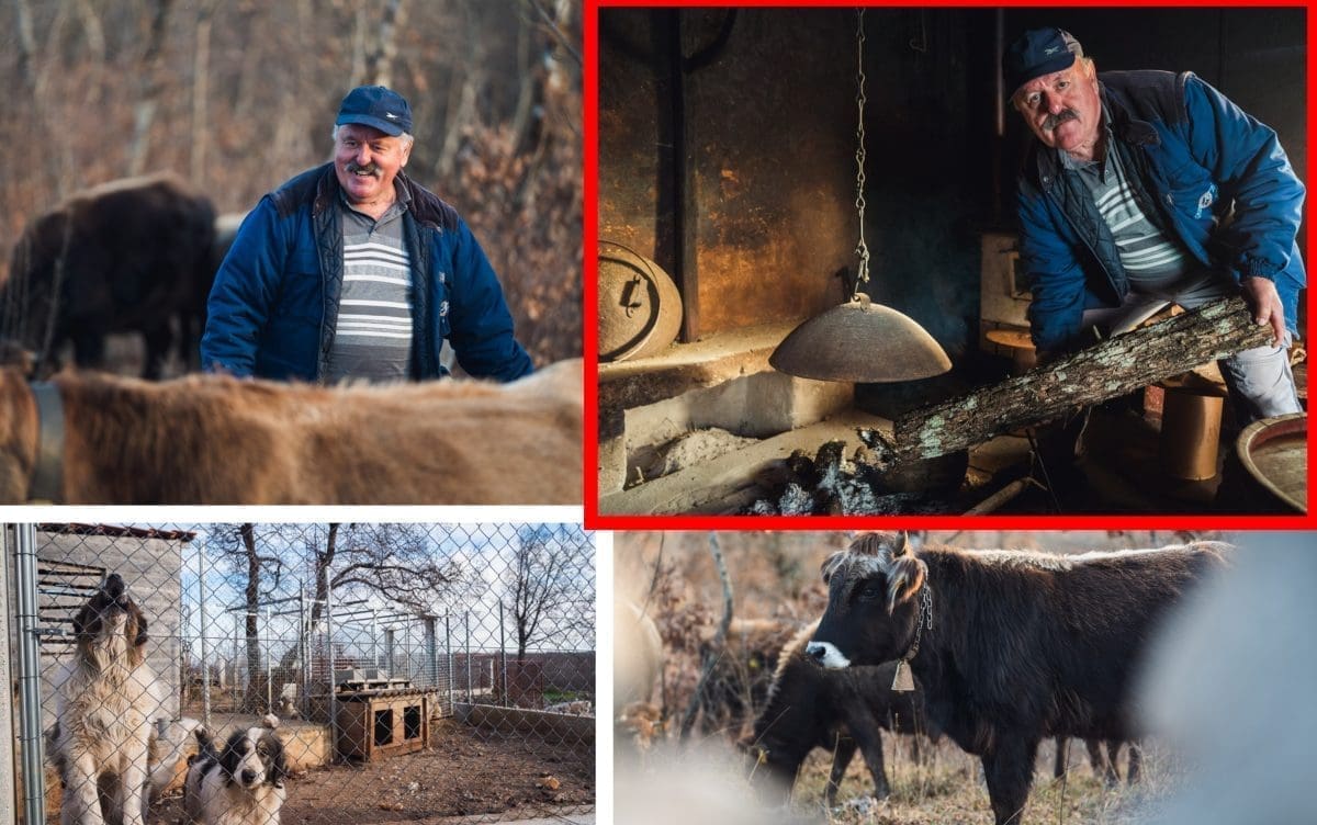 BADNJAK U ZASEOKU IMOTSKE KRAJINE: "Badnji dan je za mene nešto još jače od Božića, Badnjak je iščekivanje"