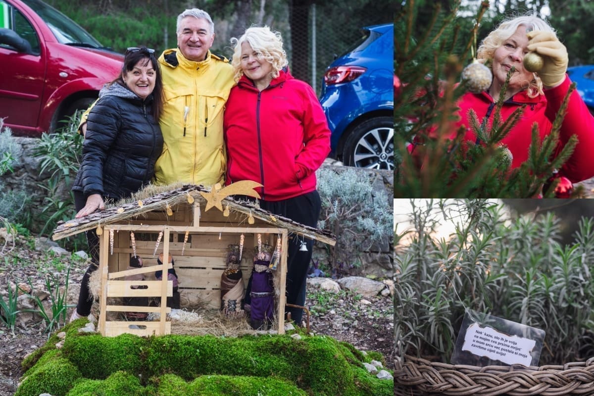 UNIKATNE BOŽIĆNE JASLICE POSTAVLJENE NA MARJANU Mali ljudi, a velika djela: Svaka biljka ima svoje ime, a posađen je i rogač u čast Olivera Dragojevića