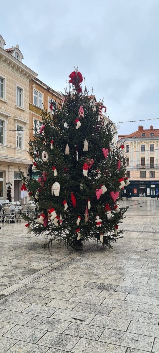 jelka pjaca okicena  1 