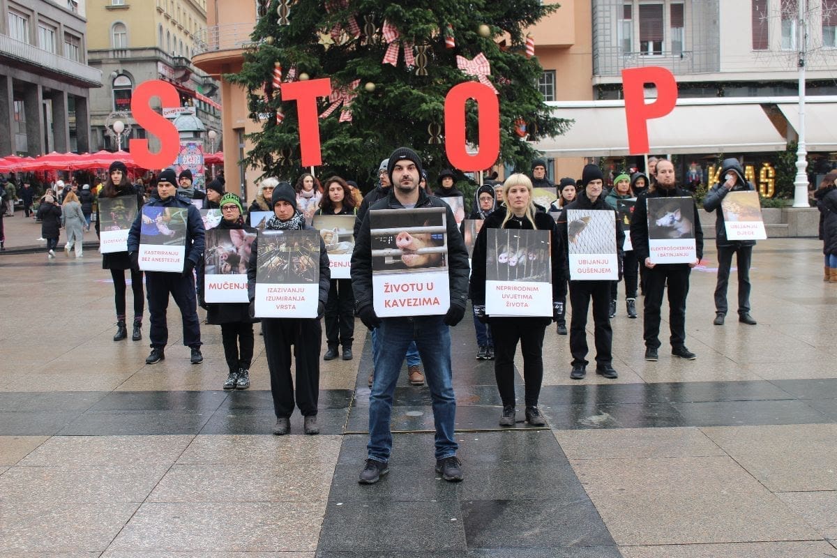 GLAS PROTIV ZLOSTAVLJANJA "Prijatelji životinja" otkrivaju mračnu stranu industrije životinja