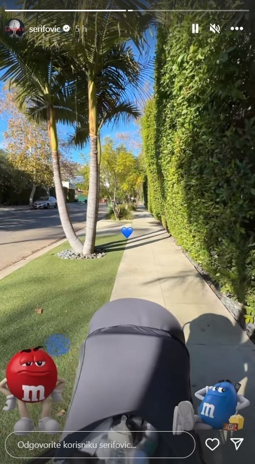 serifovic