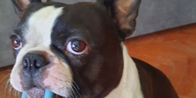 SRETAN KRAJ POTRAGE Hulk je pronađen!