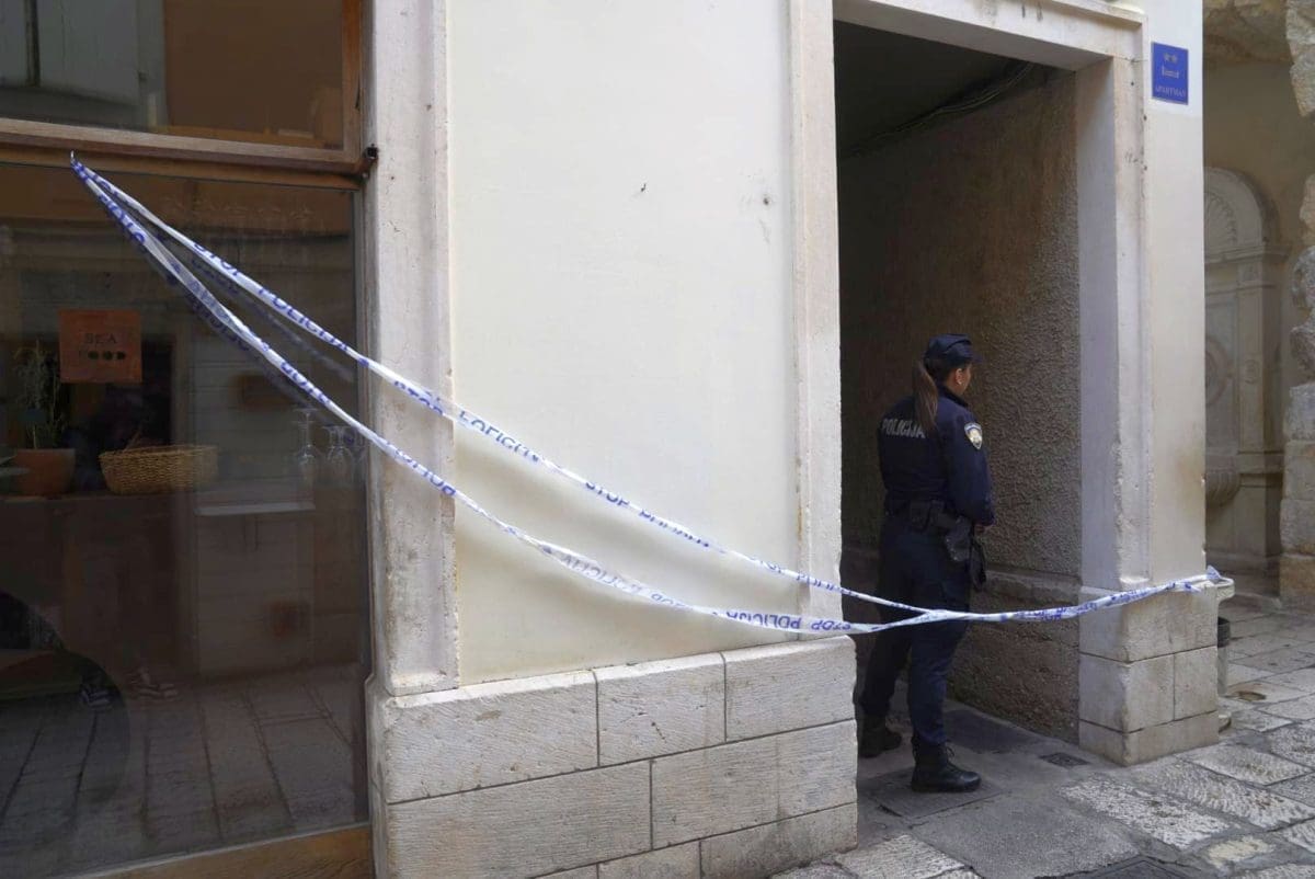 dominisova policija 2