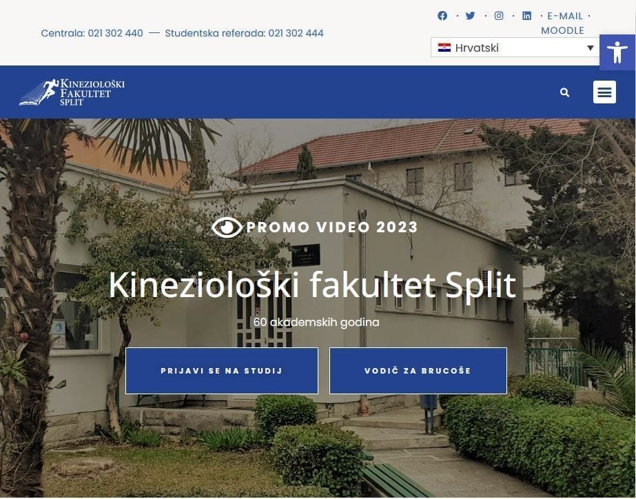 kinezioloski web