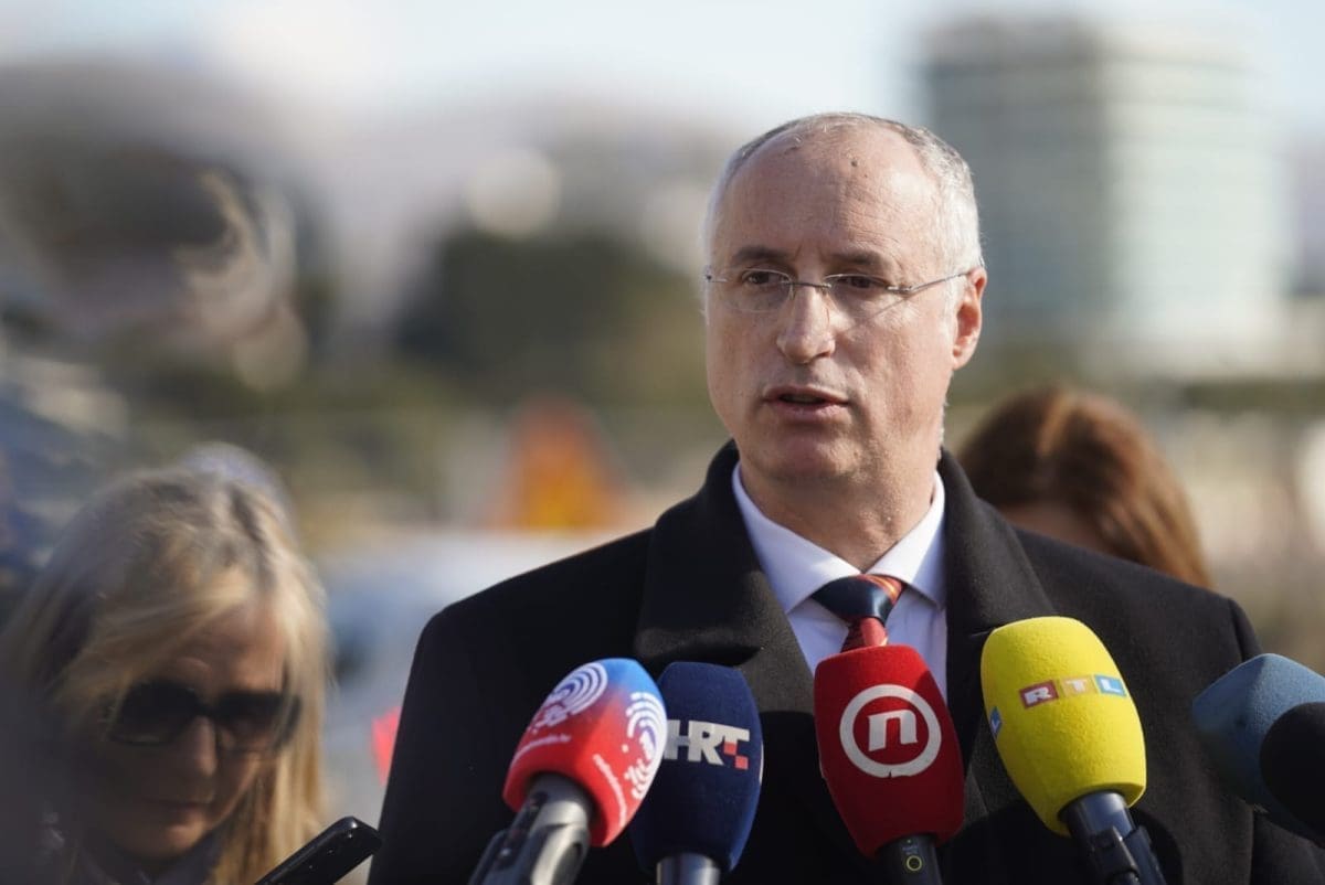 radovi znjan igor jaksic 3 