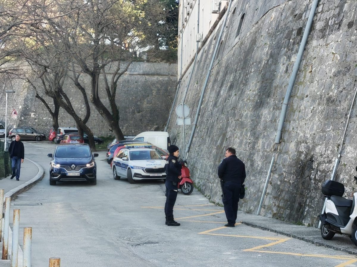 stablo gripe tvrdjava 1 