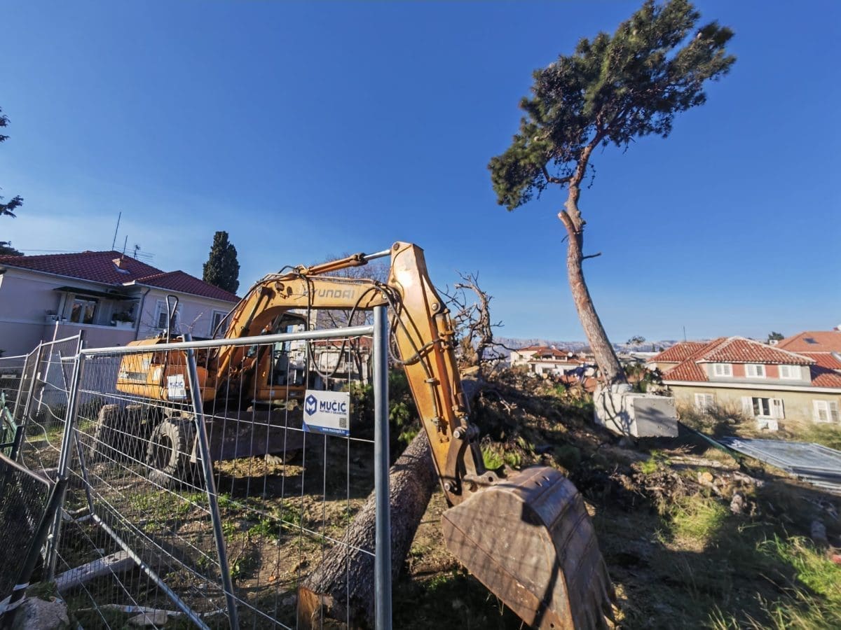 stablo gripe tvrdjava 2 