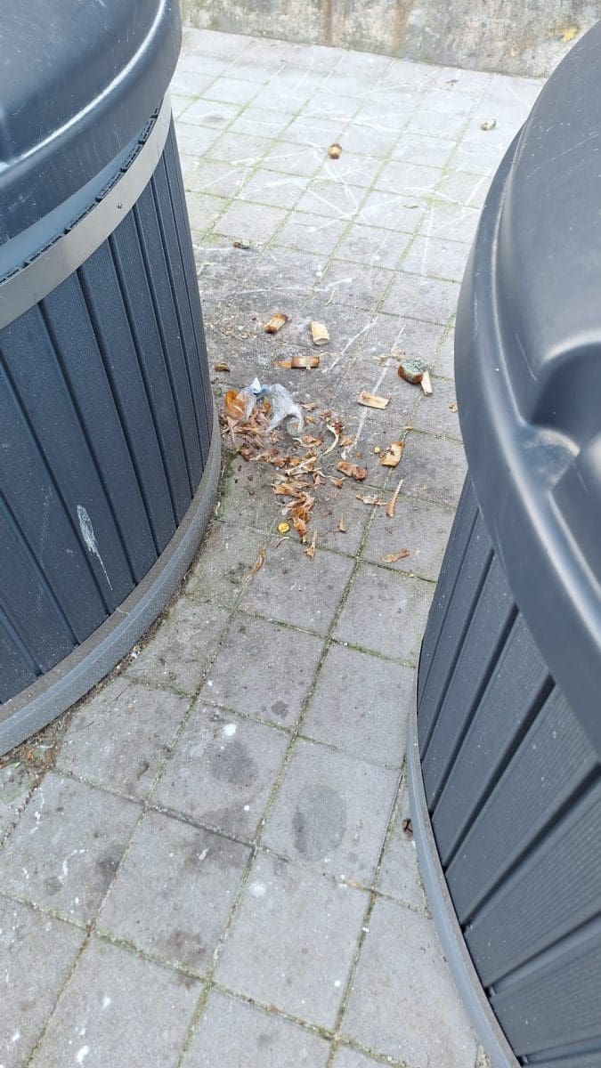 cistoca vandalizam  2 