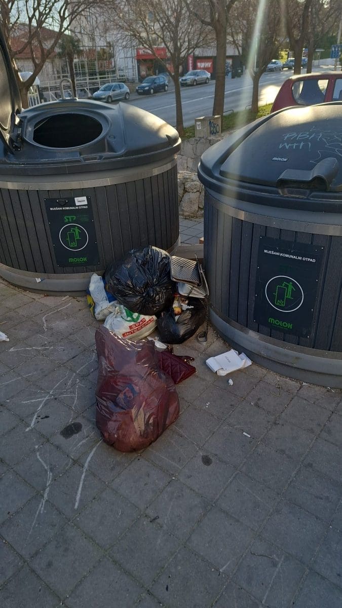 cistoca vandalizam  2 