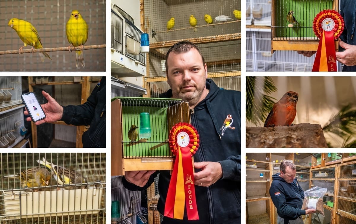 PTIČJI RAJ U ZAGORI Nekadašnji golman ljubav prema balunu zamijenio pticama: Vratio se iz Italije u Neorić, sada s pticama osvaja svjetska zlata!