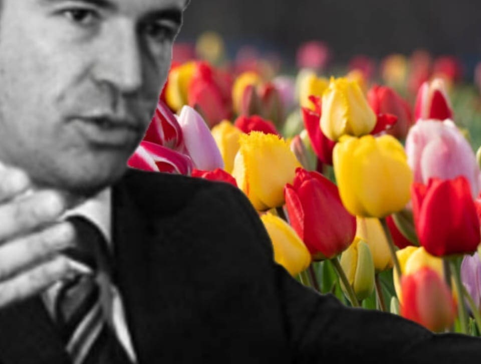 "KRALJ TULIPANA" I BIVŠI MINISTAR SVE PRIZNAO Službenim osobama je predočena lažna dokumentacija o uzgoju tulipana i njihovoj prodaji trgovačkom društvu