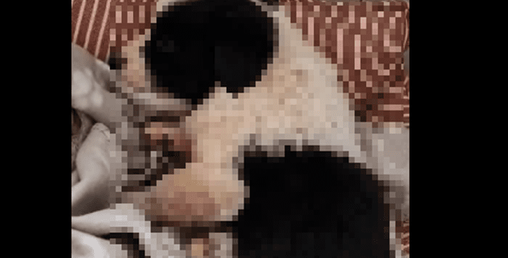 MONSTRUOZAN ČIN U DALMACIJI "Netko ga je toliko jako nabio nogom i ranio oštrim predmetom da je od posljedica ozljeda uginulo"