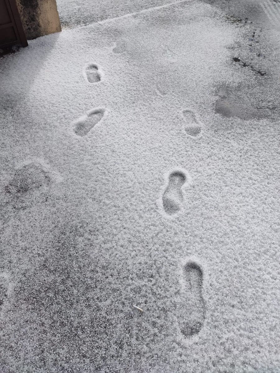 WhatsApp Image 2024 03 02 at 13 36 32