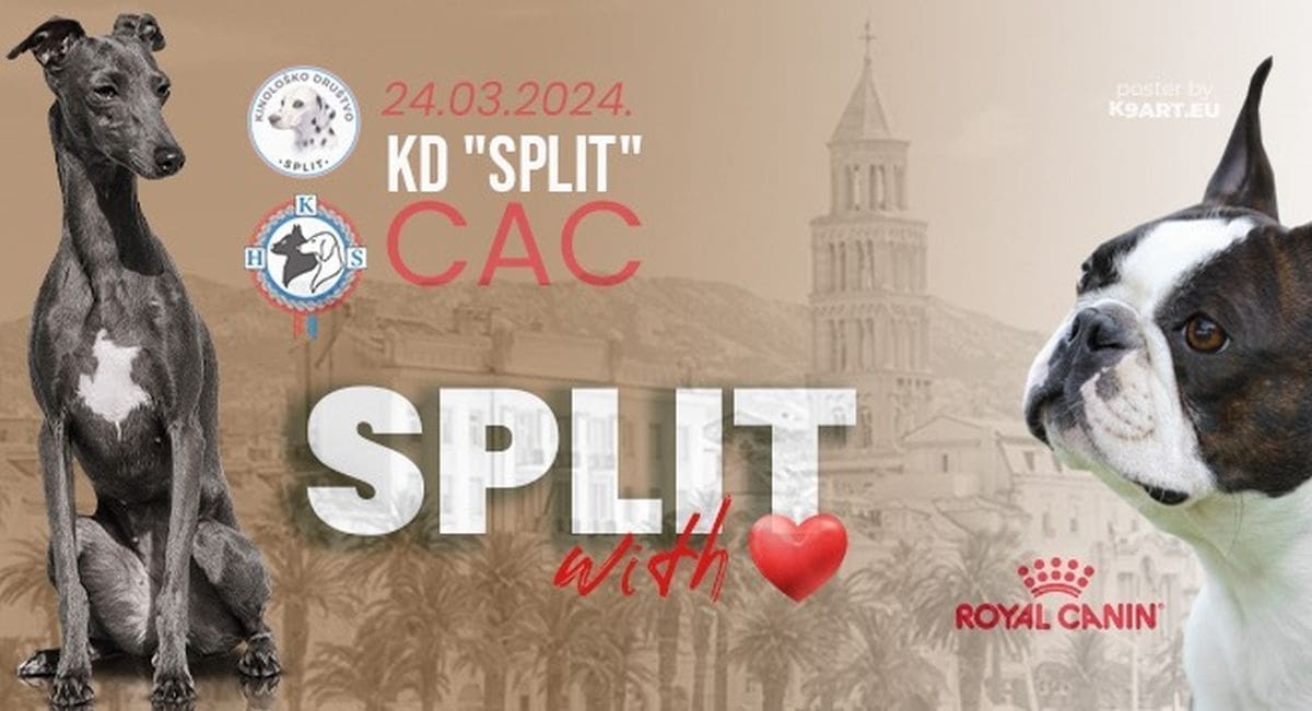 HUMANITARNA IZLOŽBA PASA U SPLITU Organizatorica izložbe apelira na prestanak mučenja životinja u improviziranim uzgajivačnicama