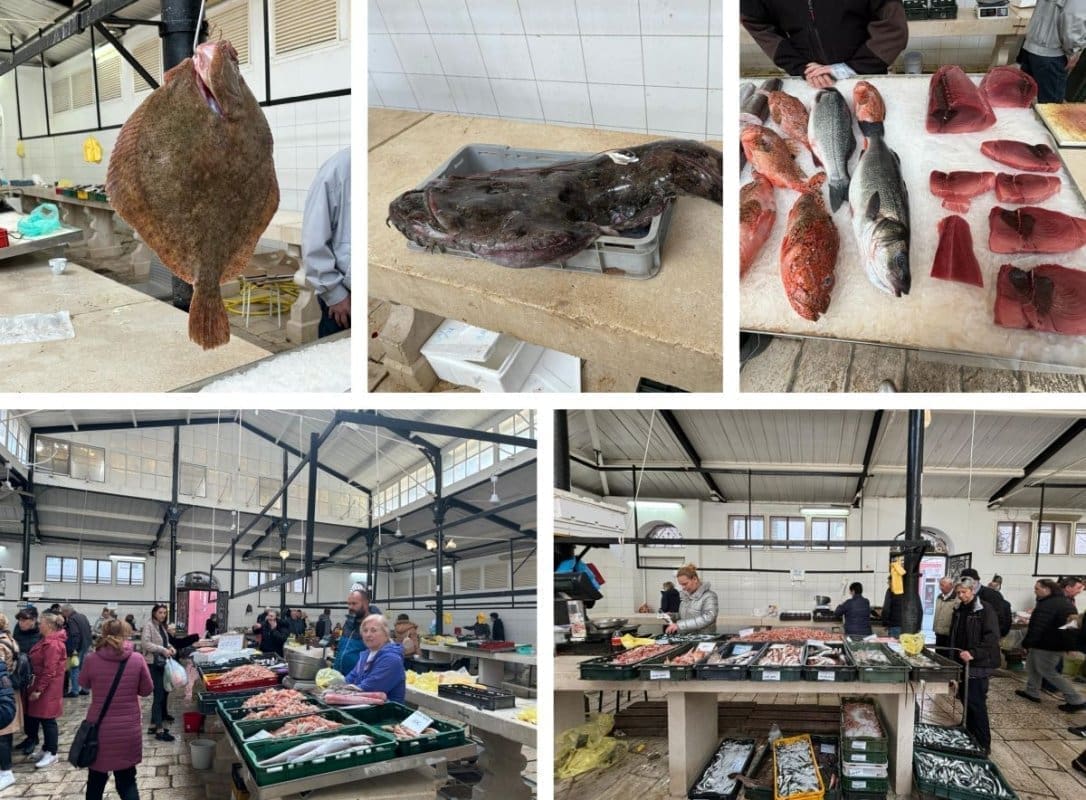 NAVALI, NARODE! Dobre vijesti s Peškarije: Nakon juga i kiše opet je zamirisala svježa riba